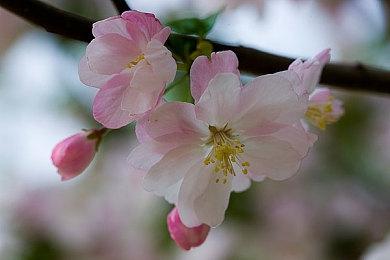 经典RPG《时空勇士》重制版能否有续作？那得销量过百万